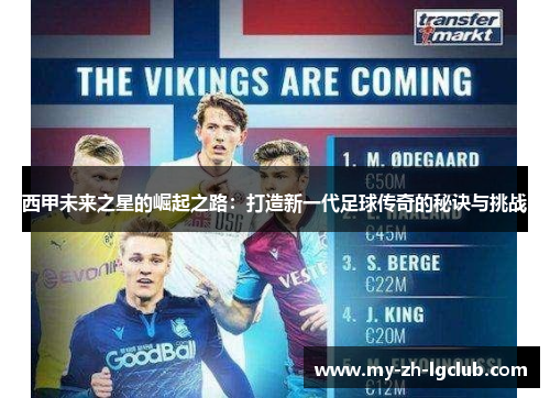 西甲未来之星的崛起之路：打造新一代足球传奇的秘诀与挑战