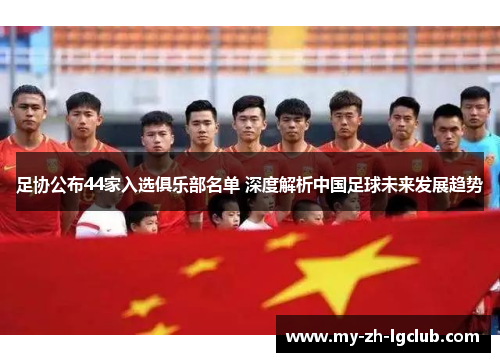 足协公布44家入选俱乐部名单 深度解析中国足球未来发展趋势